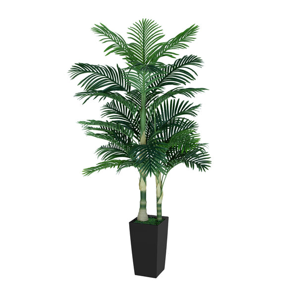 6FT Silk Island Golden Cane Palm Tree (Black Planter)