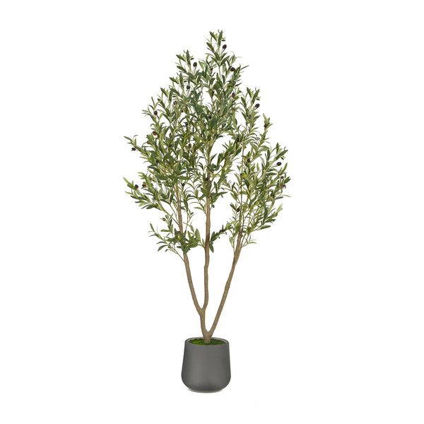 6FT Silk Mediterranean Olive Tree (Gray Planter)