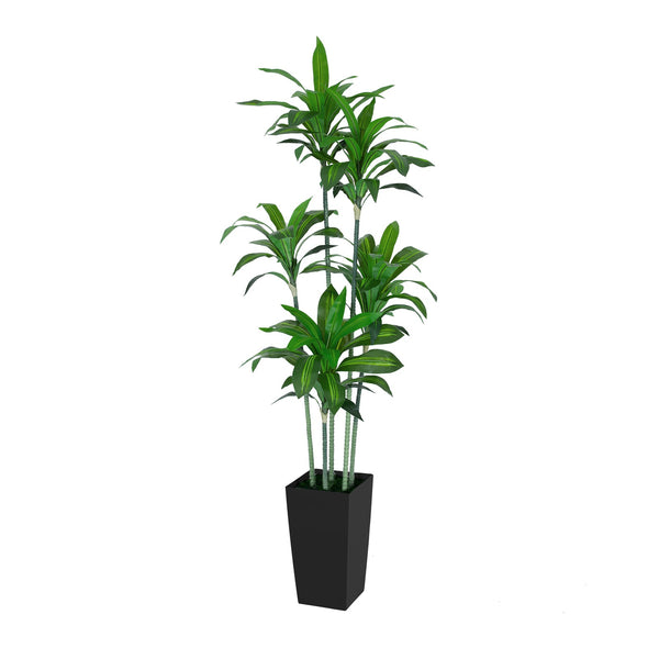 6FT Silk Tropical Dracaena Tree (Black Planter)