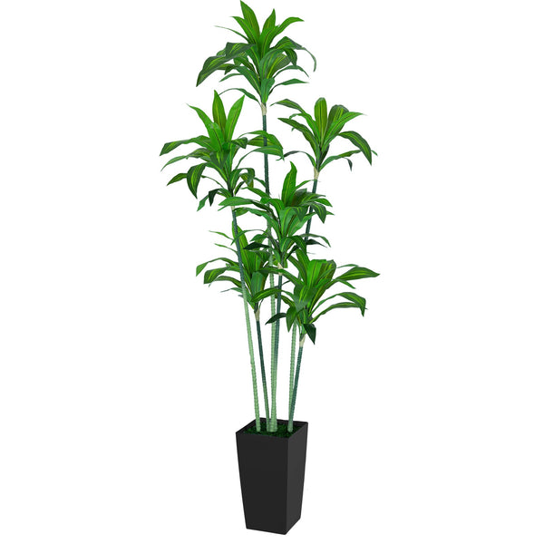 7FT Silk Tropical Dracaena Tree (Black Planter)