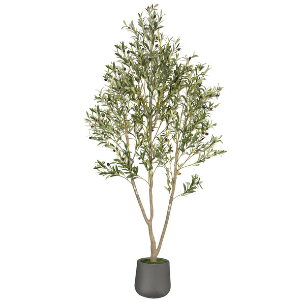 7FT Silk Mediterranean Olive Tree (Gray Planter)