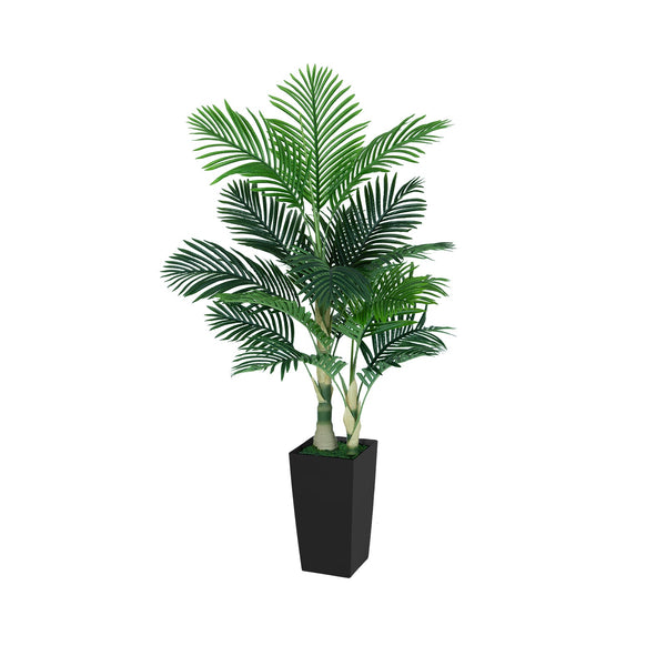 5FT Silk Island Golden Cane Palm Tree (Black Planter)