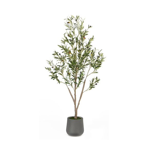 5FT Silk Mediterranean Olive Tree (Gray Planter)